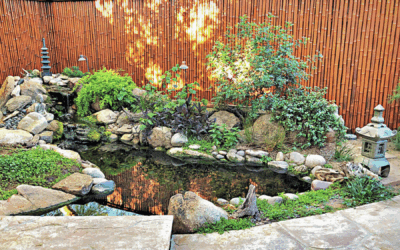 Don’t Wait for Winter to Breathe New Life Into Your Pond
