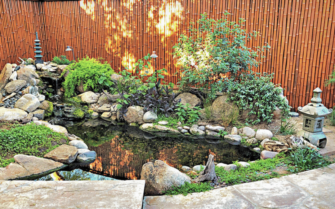 Don’t Wait for Winter to Breathe New Life Into Your Pond