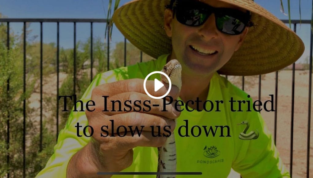 Concrete Pond Transformed To a Pondless Waterfall