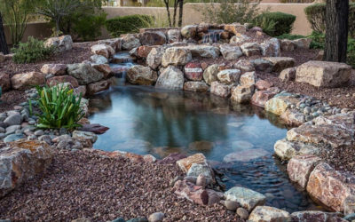 Reasons Why You Need a Pond Filtration System