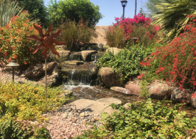 Pondless Waterfall with Mature Flowers and Plants