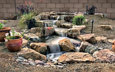 Frequently Asked Questions about Ponds, Pond Maintenance and Building