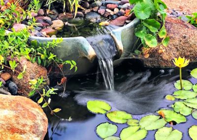 Close Up of Pondless Water Fall With Mature Plants