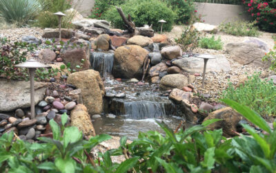 Plan Your Pond
