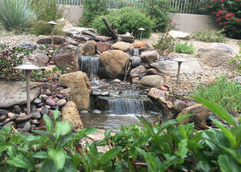 Plan Your Pond