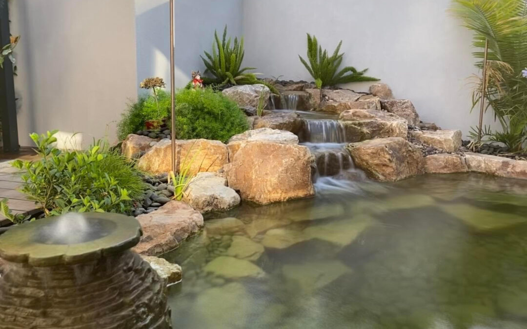 Pond Fountains and Your Pond’s Ecosystem