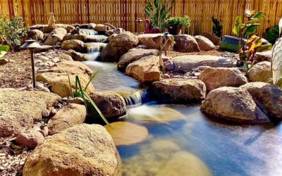 Pond Care in Winter