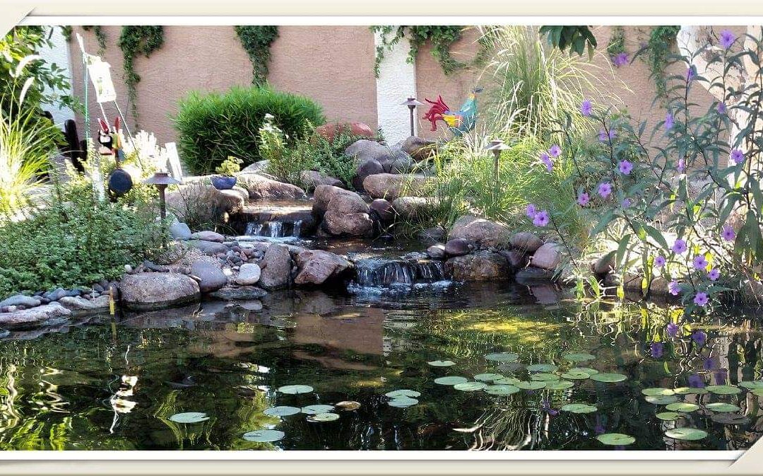 Pond Maintenance in Phoenix
