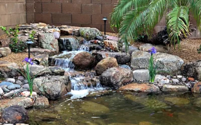 Tips to Care for Your Pond in Fall and Winter