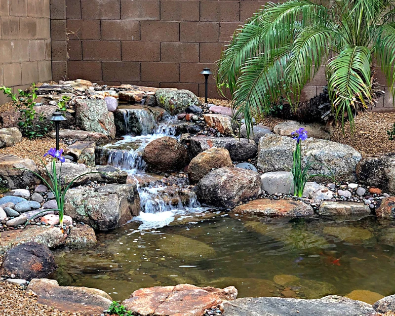 Tips to Care for Your Pond in Fall and Winter