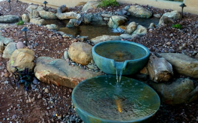 Different Water Feature Problems and How to Address Them