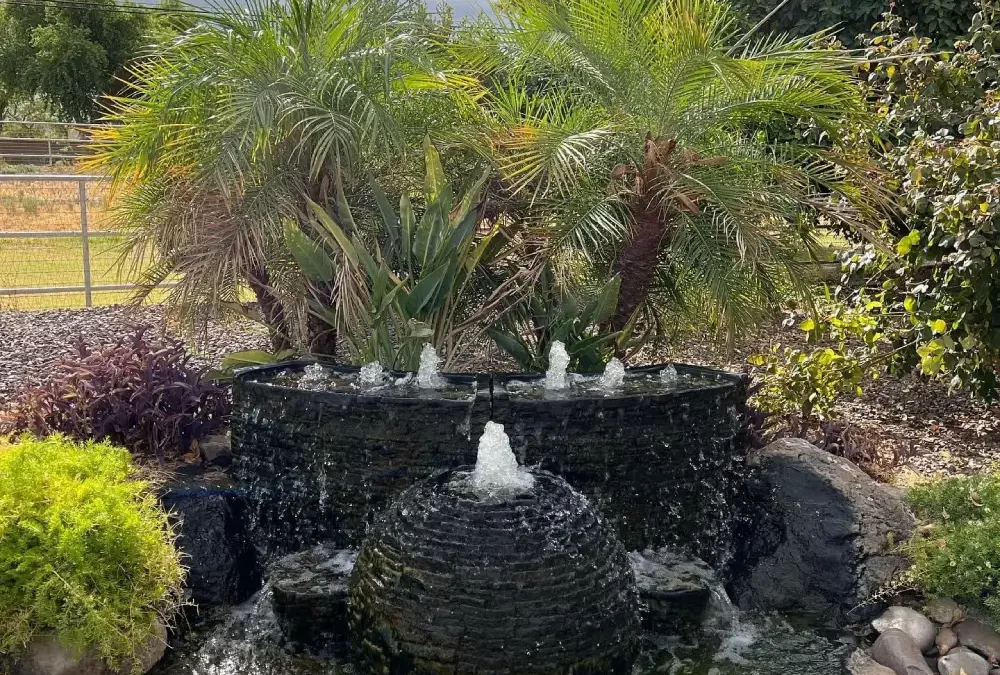 4 Benefits of Water Features