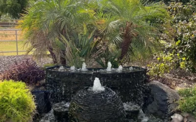 4 Benefits of Water Features