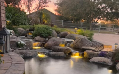 Create an Outdoor Paradise with Koi Pond Installation