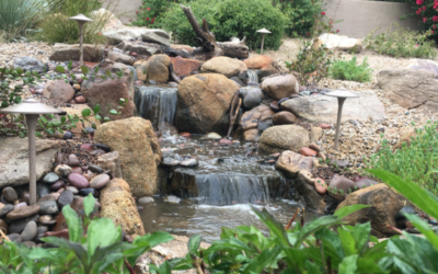 The 9 Alluring Benefits of Backyard Water Features