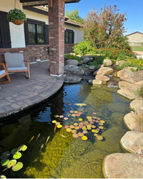 Don’t Wait for Winter to Breathe New Life Into Your Pond