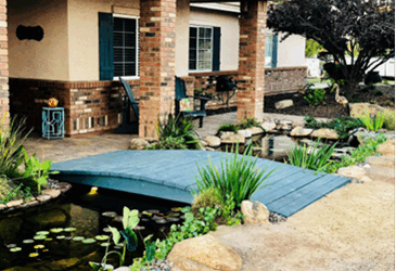 What to Trim Back and What to Leave Before Winter: Smart Trimming = Stronger Pond Health