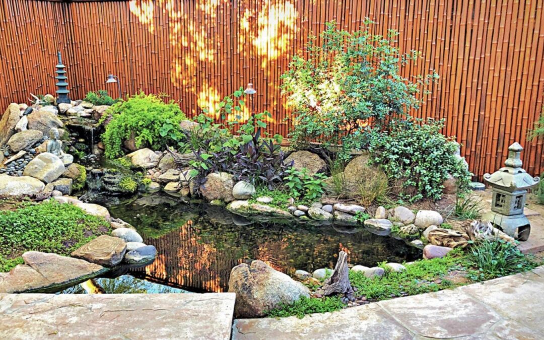 The 3 Silent Warning Signs of Low Dissolved Oxygen in Your Summer Pond