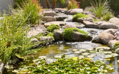 Enjoy the Sounds of Water All Winter Long