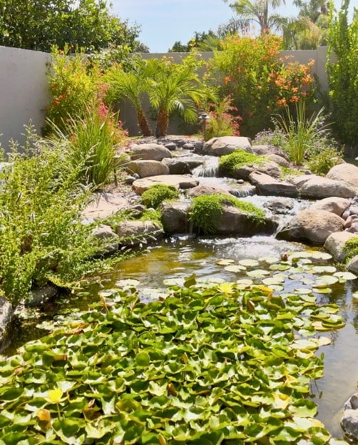 A cascading waterfall that drops into a large koi pond filled with water plants.