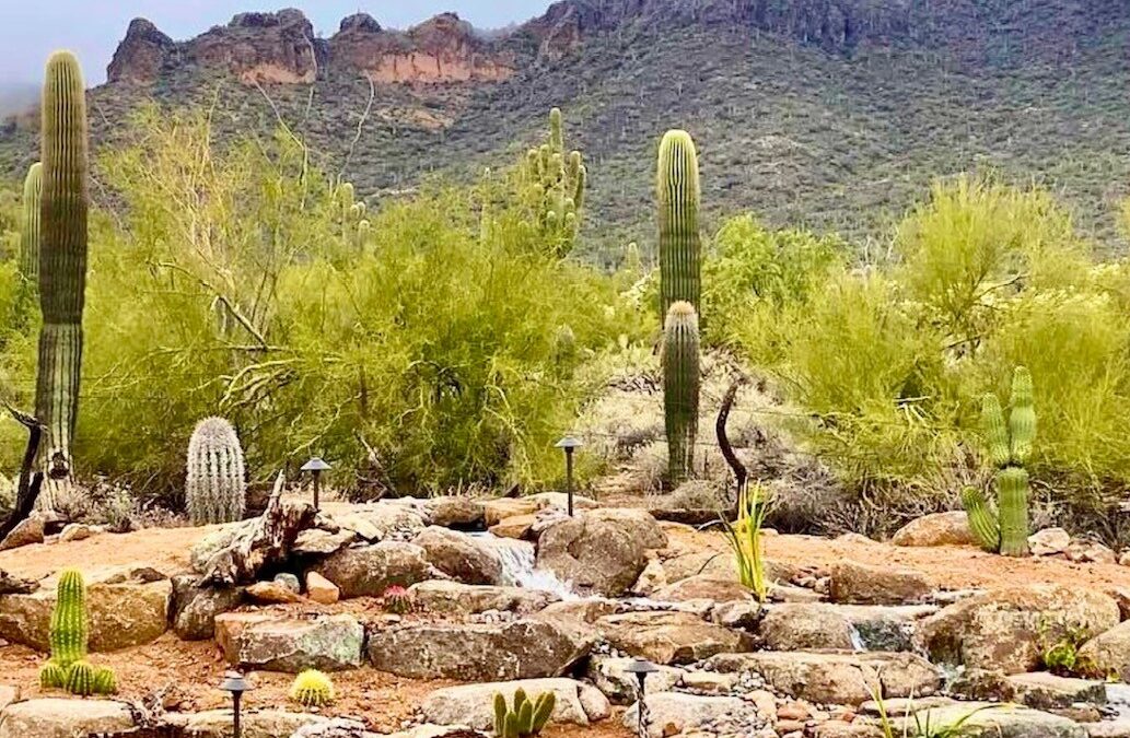 An elaborate water feature in the middle of desert landscaping with cacti.