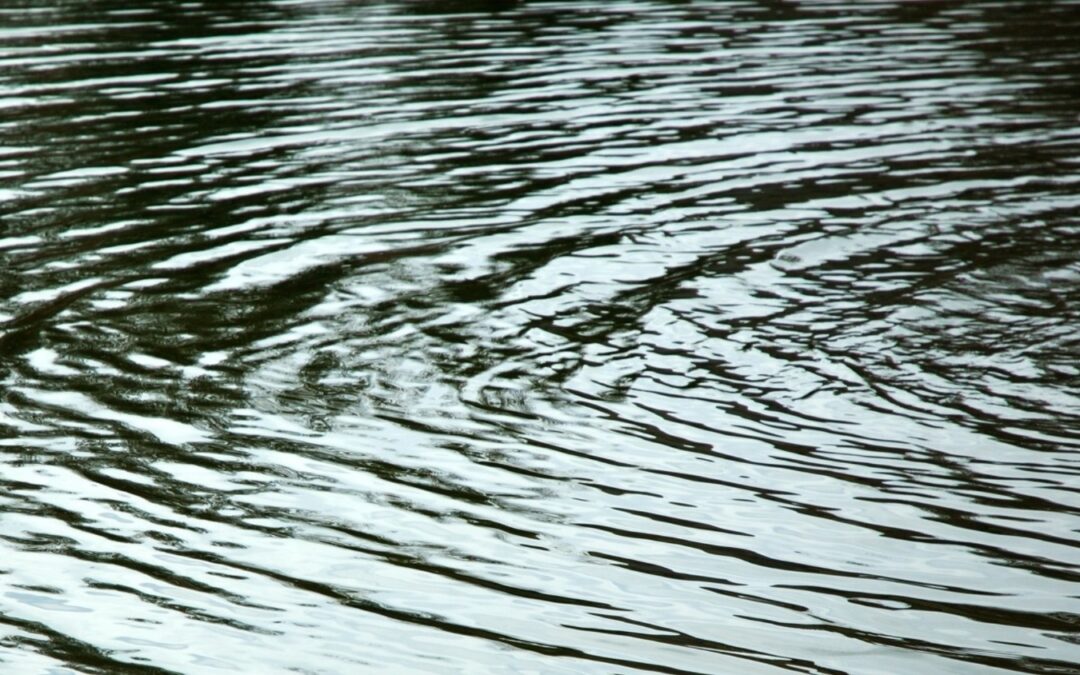 A pond with dense ripples across it from a nearby pump.