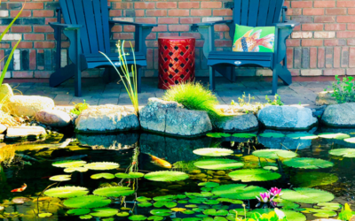 🧭Our 5-Step Winter Pond Check and Why Most Pond Owners Skip Step 3