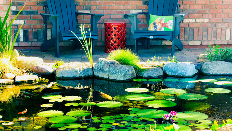 A pond with multiple koi and many aquatic plants with a paved seating area nearby.