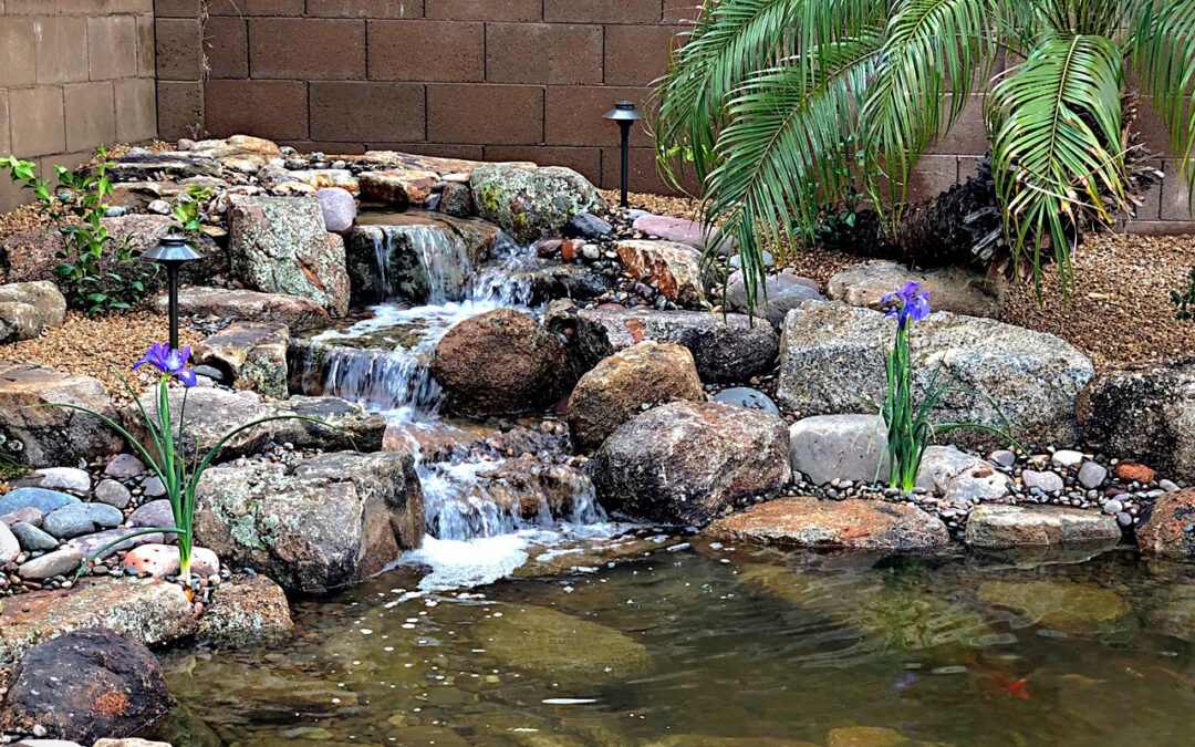 Why Your Waterfall May Not Always Be Enough for Your Koi