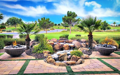 Ecosystem Water Features Are More Vital Than Ever in Arizona