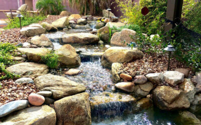 Transforming Your Yard into a Private Desert Resort