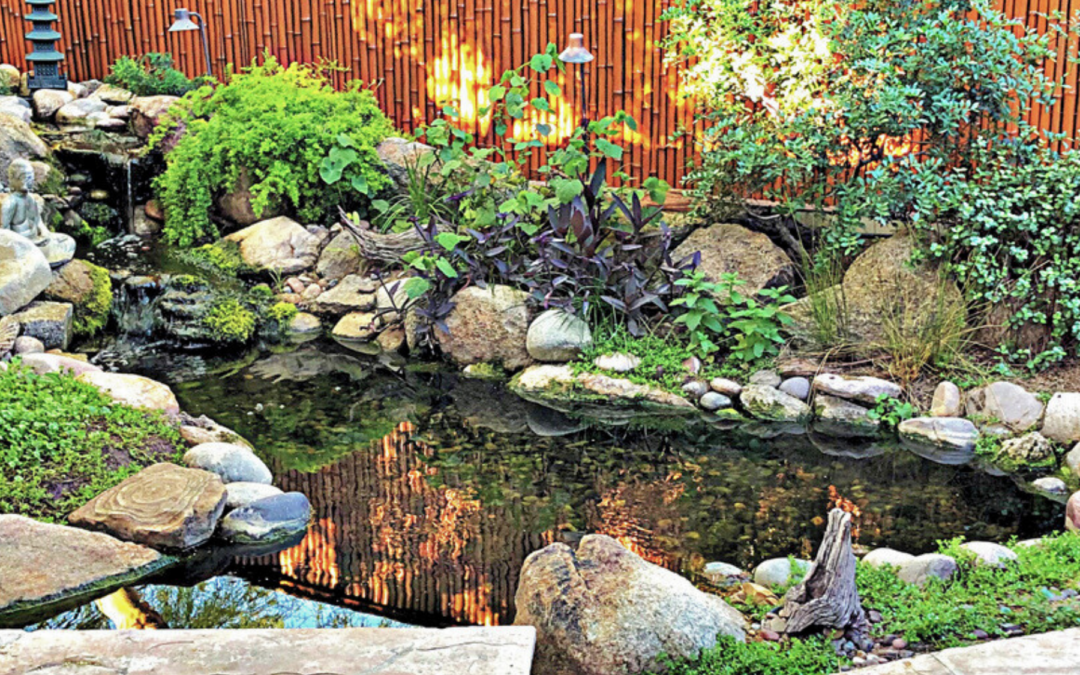 A pond with a natural rock waterfall on the left side and surrounded by greenery.